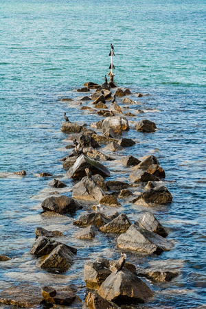 stone groyne row with birds east-seaの写真素材