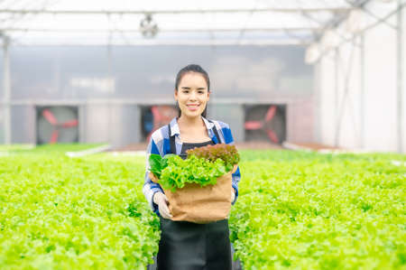 Happy asian woman farmer holding basket full of fresh green vegetables salad in hydroponic farmの写真素材
