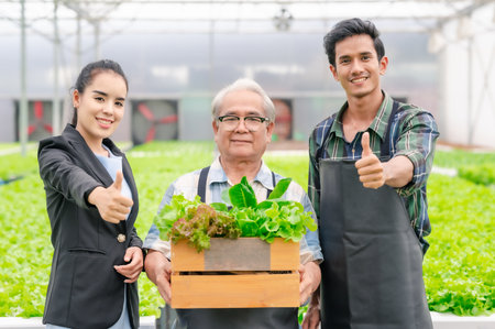 Asian business woman and farm people with senior farmer owner holding a crate of fresh organic vegetables in hydroponics greenhouse. agriculture business peopleの写真素材