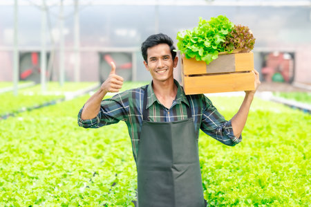 Happy smiling Asian man farmer showing thumb up holding basket with fresh organic vegetable in greenhouseの写真素材