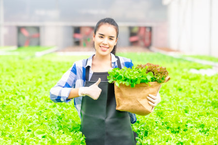 Happy asian woman farmer showing thumb up with basket full of fresh green vegetables salad in green houseの写真素材