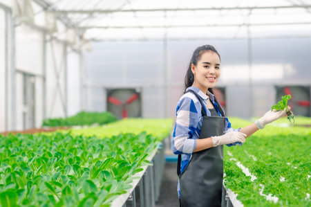 Happy smiling Asian woman farmer checking fresh organic vegetable in greenhouseの写真素材