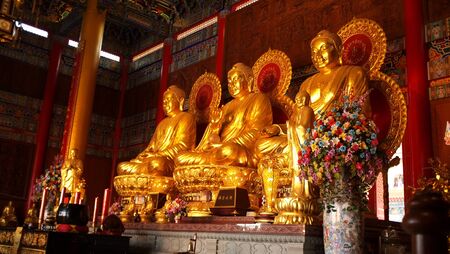 3 buddhaのeditorial素材