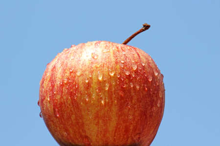 Appleの写真素材