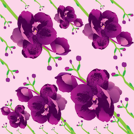BACKGROUND ORCHIDのイラスト素材