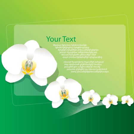 White Orchid Backgroundのイラスト素材