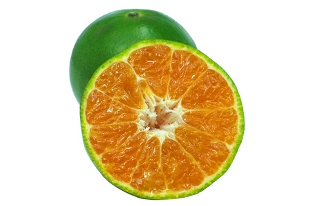 ripe mandarins isolatedの写真素材