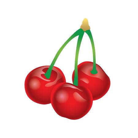 Cherryのイラスト素材