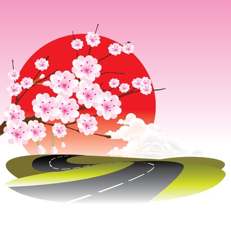 vector cherry blossom and roadのイラスト素材