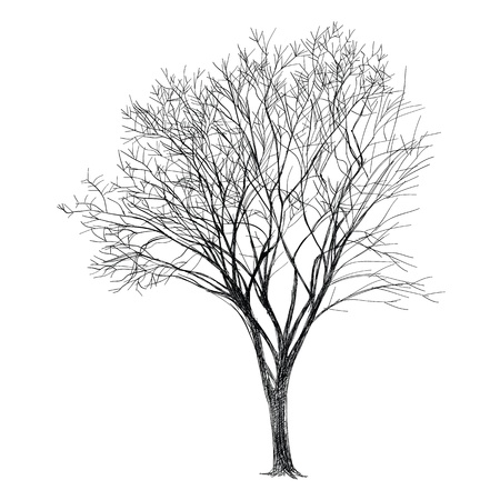 Tree - Hand Drawnのイラスト素材