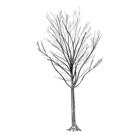The abstract of Tree - Hand Drawn vectorのイラスト素材