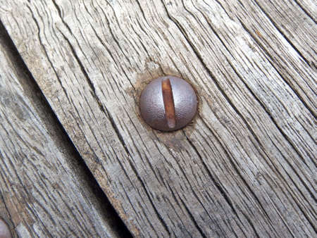 Wooden texture background with Head bolts 