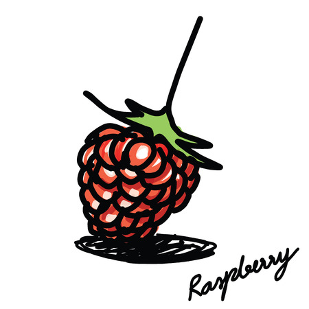 The abstract of raspberry hand - drawnのイラスト素材