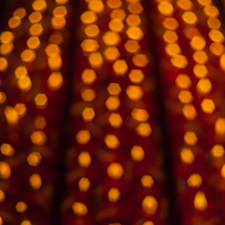 Church candles in red transparent chandeliersの写真素材