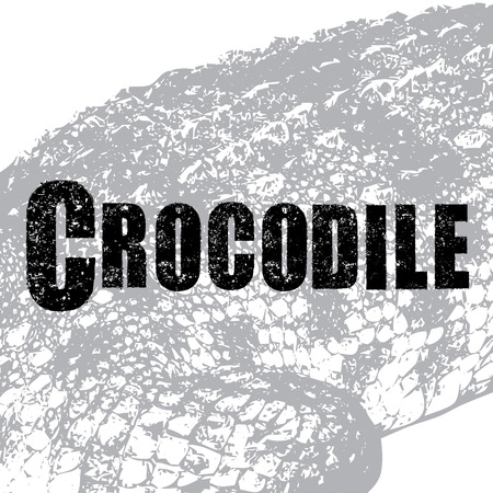 Crocodile vector, illustration, rubber stampのイラスト素材