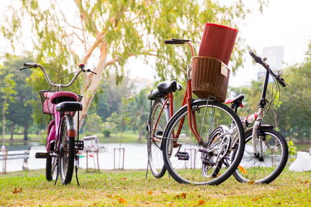 Vintage bicycle waiting on the grassの写真素材