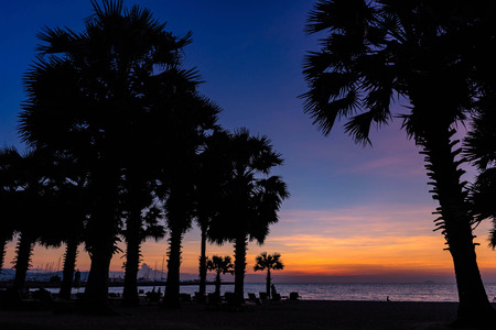 Beautiful Sunset at seaside with palm trees, water reflection. selective focusの写真素材