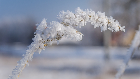 Winterの写真素材