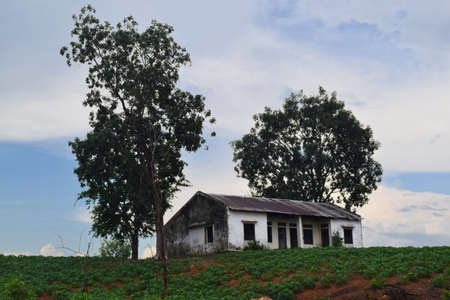 rural view in Vietnam with lonely house on the hill and fieldの写真素材