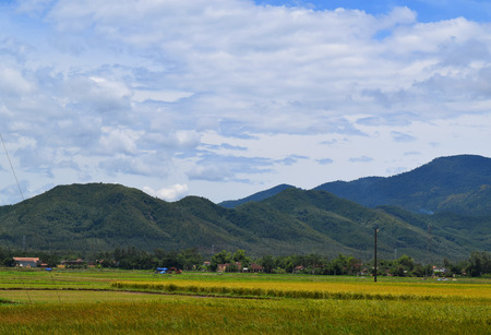 rural houses in village with rice paddy field in vietnamの写真素材