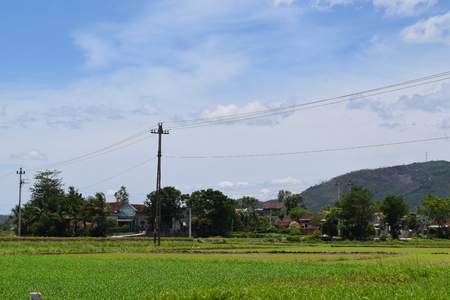 rural houses in village with rice paddy field in vietnamの写真素材
