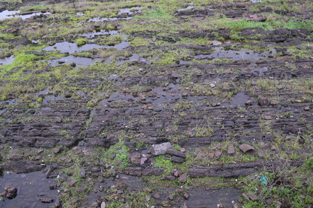 bottom bed river in dry season with little water