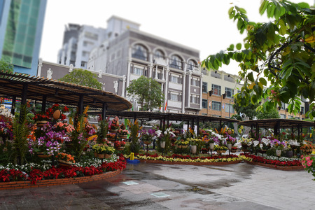 flower festival for Lunar new year decoration in Vietnam with many kind of colorful flowers in wooden pots on the streetのeditorial素材
