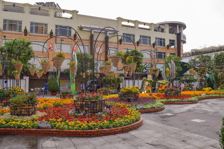 flower festival for Lunar new year decoration in Vietnam with many kind of colorful flowers in wooden pots on the streetのeditorial素材
