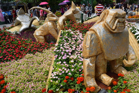 flower festival for monkey Lunar new year decoration in Vietnam with many kind of colorful flowers in wooden pots on the streetのeditorial素材