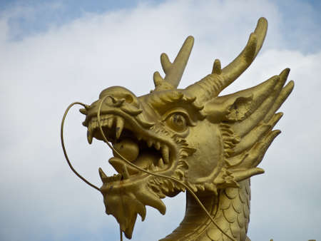 Dragon head