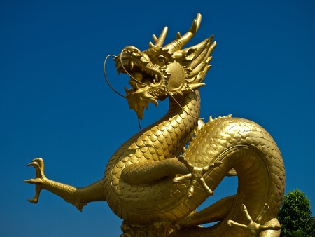 Dragonの写真素材