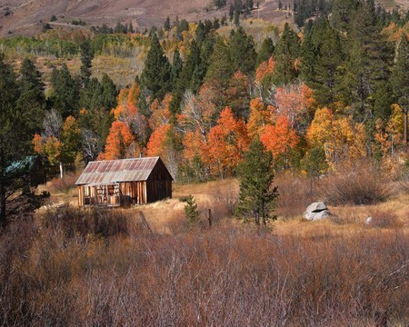 Fall colors hope valleyの写真素材