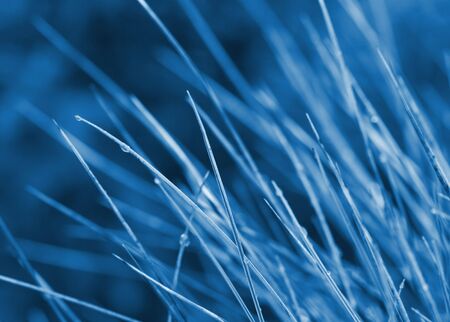 fine image of blue abstract backgroundの写真素材