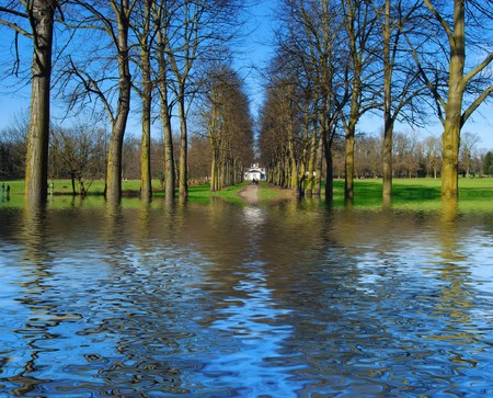 fine landscape image, way in the parkの写真素材