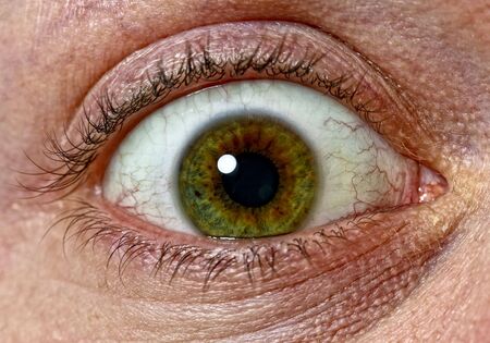 close up image of scary green eys backgroundの写真素材