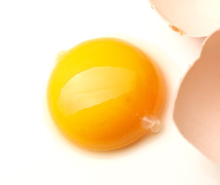 closeup of egg on white background