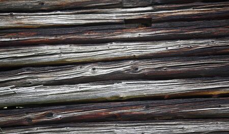 close up image on old aged wood trunk wallの写真素材