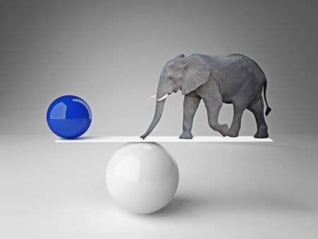 elephant and  ball  in false balanceの写真素材