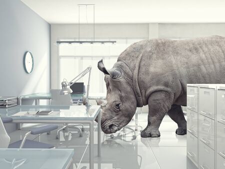 3d modern office and rhinoの写真素材