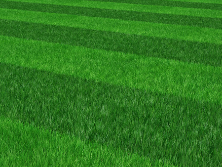 3d image of classic soccer field の写真素材