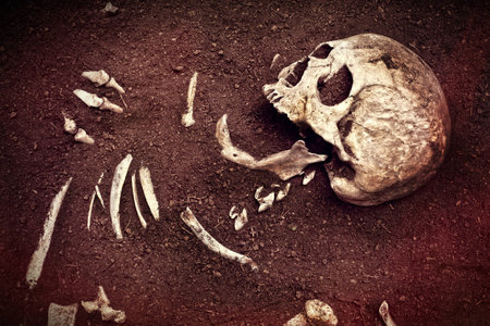 scene crime and buried bone