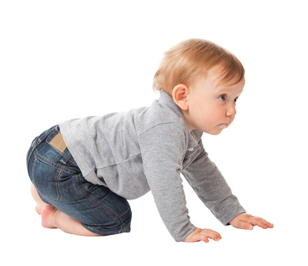 portrait of child crawl on white background