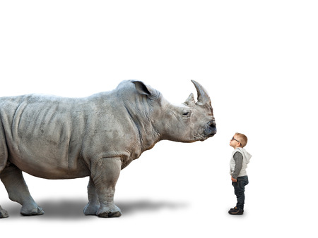 little child and huge rhino on whiteの写真素材
