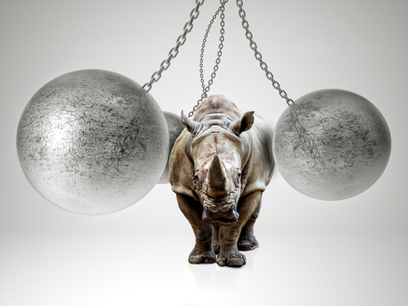 huge rhino and 3d metal ballの写真素材