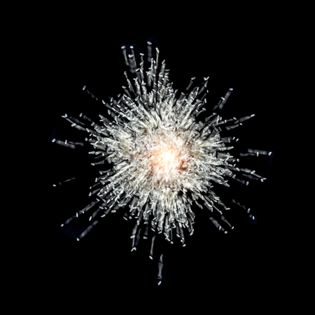 rice  explosion on black background