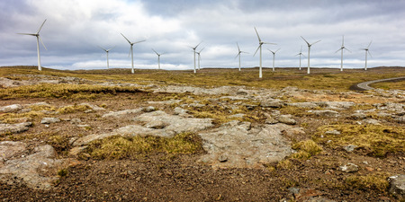 farm wind in faroe island