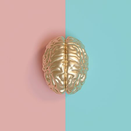 3d rednering image of a gold human brain, blue and pink background, concept of diversity between the...