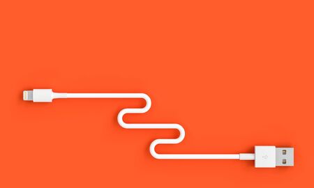 3d render image of a usb cable on a coral-colored background in a flat lay style.の写真素材