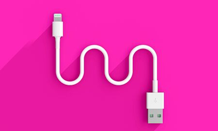 flat lay usb cable, 3d render image. connectivity and technology concept.