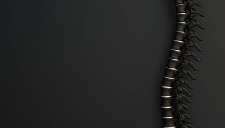 dorsal spine black and gold on a black flat lay style. nobody around. 3d render. medicine and health concept.の写真素材